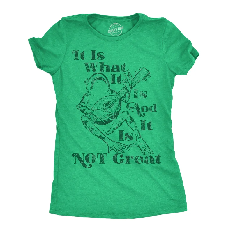 Plus Size Women T Shirt for a Comfortable and Flattering FitIt Is What It Is And It Is Not Great Women's T Shirt Plus Size Women T Shirt for a Comfortable and Flattering FitIt Is What It Is And It Is Not Great Women's T Shirt